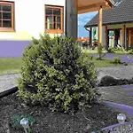 Ptasie Siedlisko Üdülőpark Mikołajki