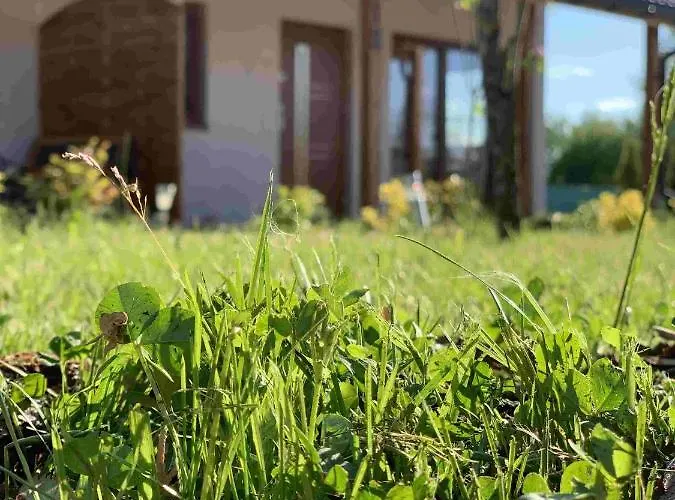 Ptasie Siedlisko Holiday park *